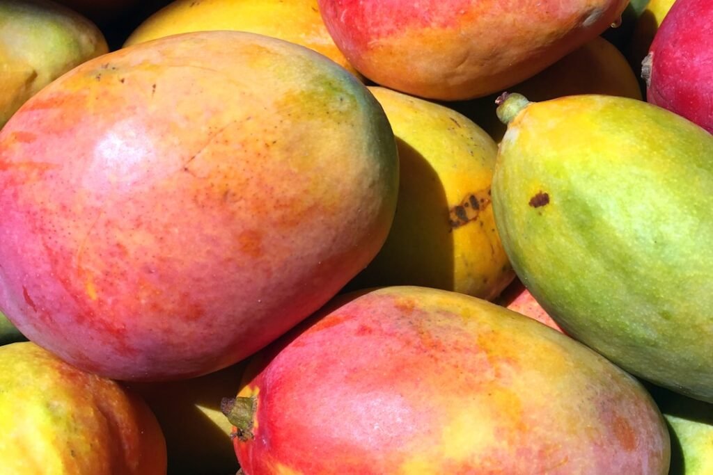 Mango